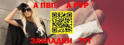 гашик Шебекино