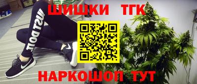 гашик Шебекино
