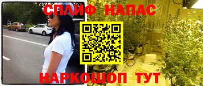 гашик Шебекино