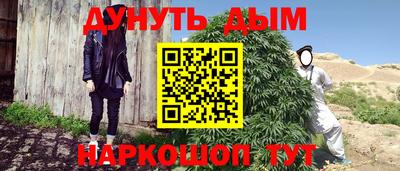 гашик Шебекино