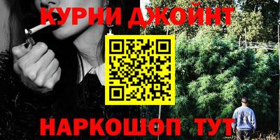 гашик Шебекино