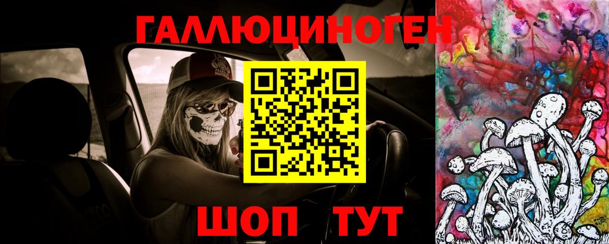 Галлюциногенные грибы Magic Shrooms Алатырь