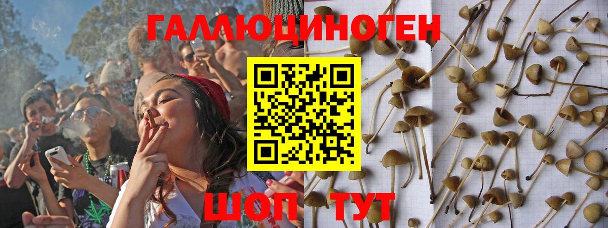 Псилоцибиновые грибы мухоморы  Вход с VPN  Алатырь 